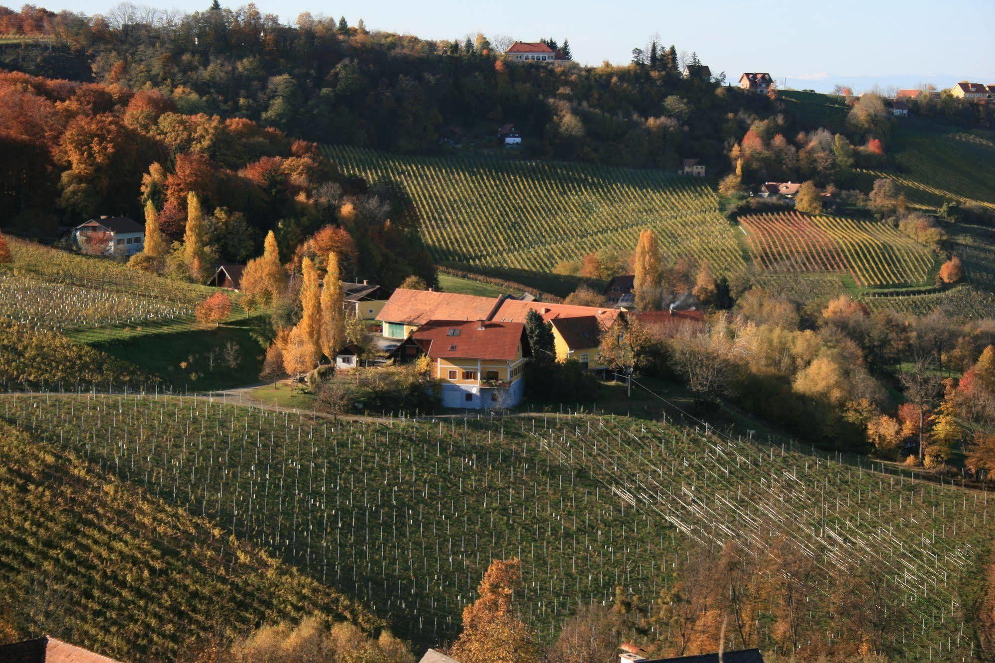 Weingut Primus Suedsteiermark Spielfeld Zewnętrze zdjęcie
