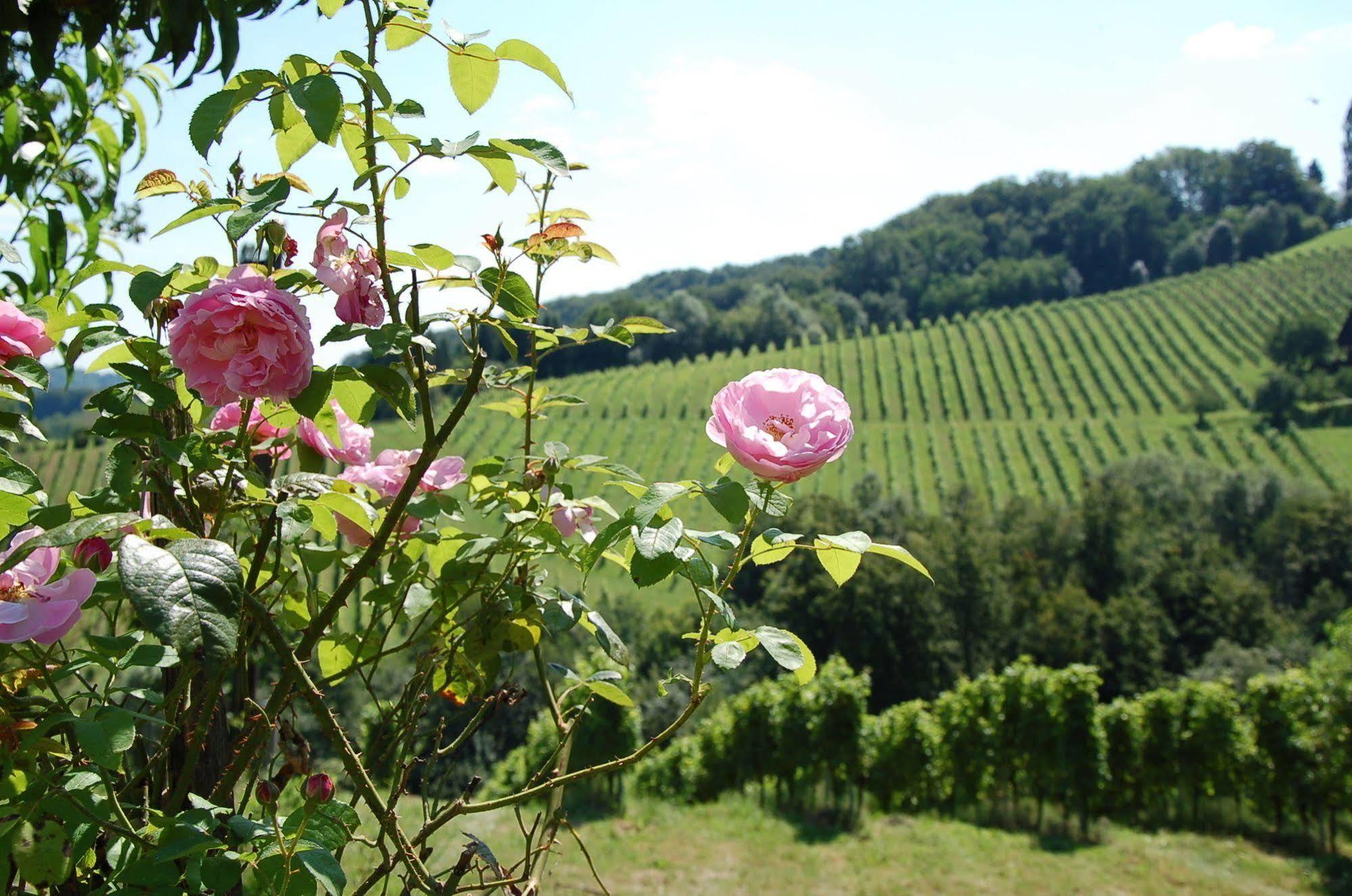 Weingut Primus Suedsteiermark Spielfeld Zewnętrze zdjęcie